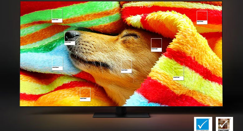Tivi Samsung 85 inch - Màu sắc chuẩn PANTONE