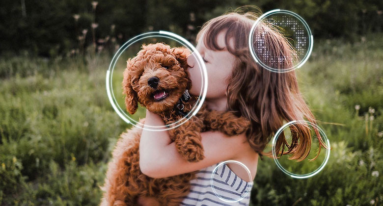 Tivi Samsung 100QN80F công nghệ AI Upscaling nâng cấp hình ảnh chuẩn 4K