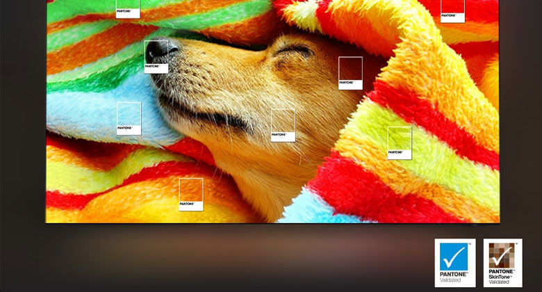 Samsung QN80F 100 inch bảo chứng màu sắc nguyên bản từ PANTONE