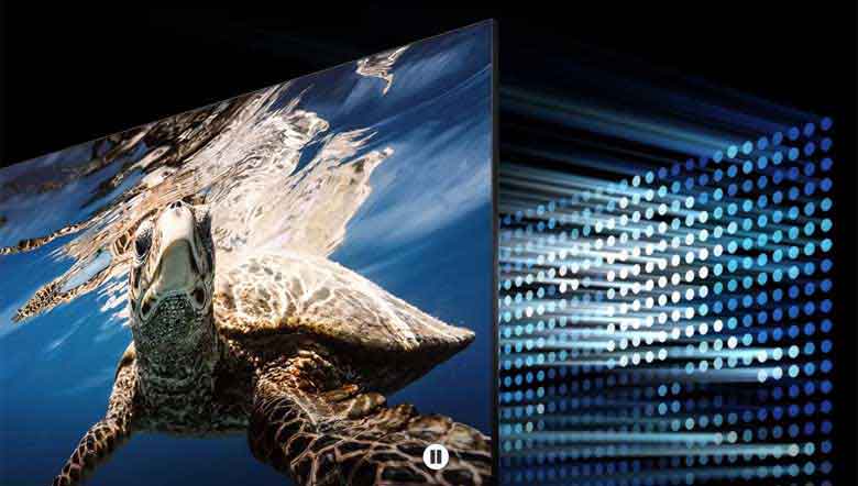 Samsung 75Q80C - Tái hiện sắc đen sâu thẳm và trắng thuần khiết