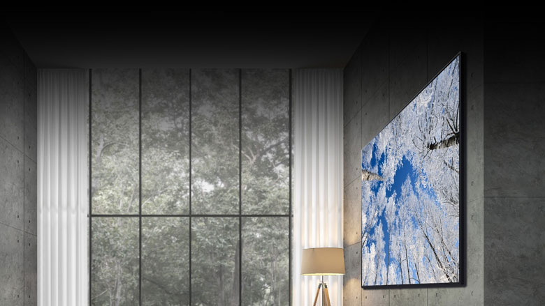 Tivi LG 4K 55 inch - Giới thiệu sự phù hợp hoàn hảo trong không gian của bạn