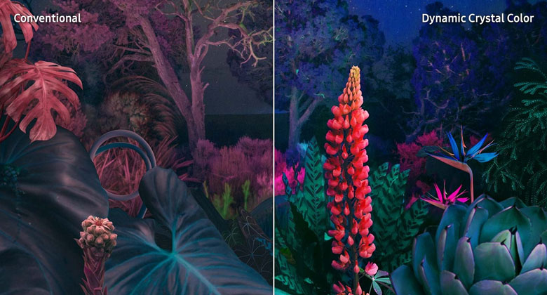 Tivi Samsung 43CU8500 giá bao nhiêu?