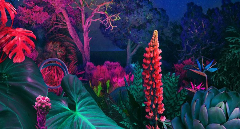 Tivi Samsung 55BU8000 giá bao nhiêu?