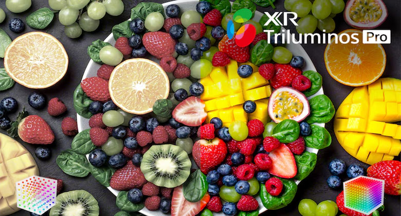 Tivi Sony 55X90K giá bao nhiêu