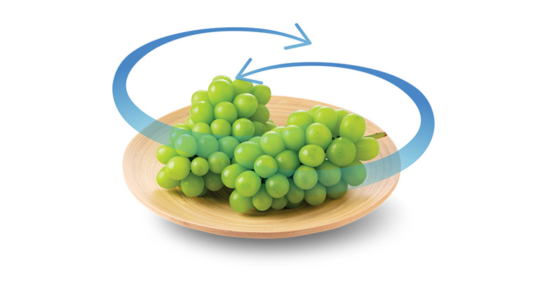 Hitachi inverter 466 lít HR4N7522DSDXVN - Chế độ làm lạnh vòng cung