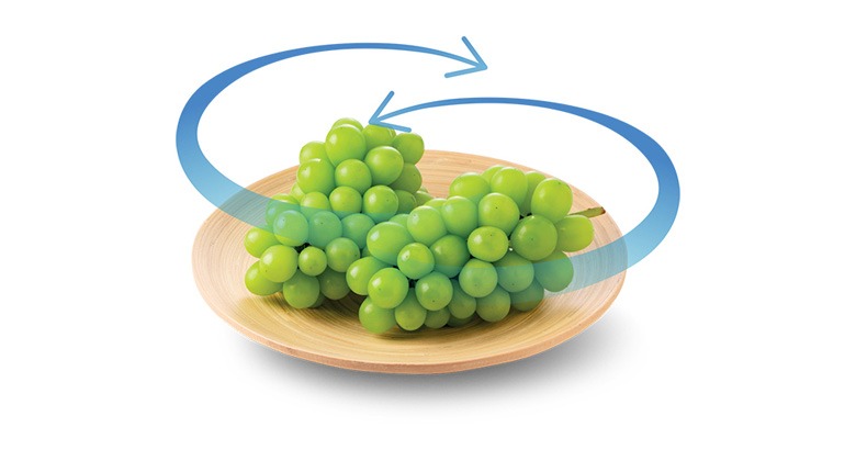 Hệ Thống Làm Lạnh Vòng Cung - Bảo Quản Thực Phẩm Tươi Ngon