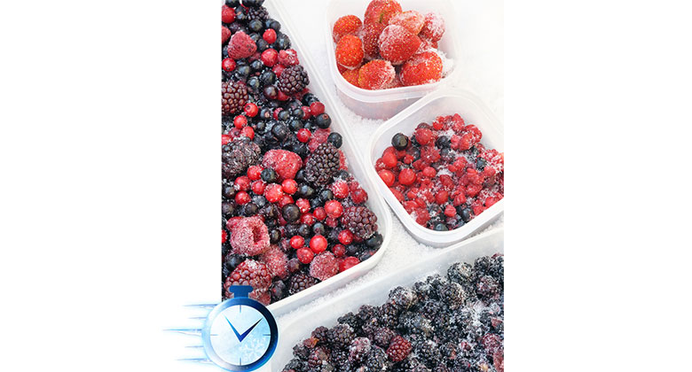 Tủ lạnh HRSN9552DGBVN - Chế Độ Cấp Đông Nhanh