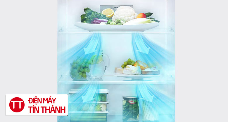 Tủ lạnh LG Inverter 266 lít LTB26SVM - Tủ lạnh 266 lít nhiệt độ tối ưu mọi nơi