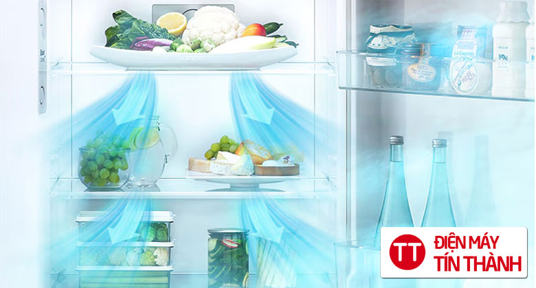 Tủ lạnh LG Inverter 314 lít LTD31BLM - Tủ lạnh LG 314 lít nhiệt độ tối ưu mọi nơi