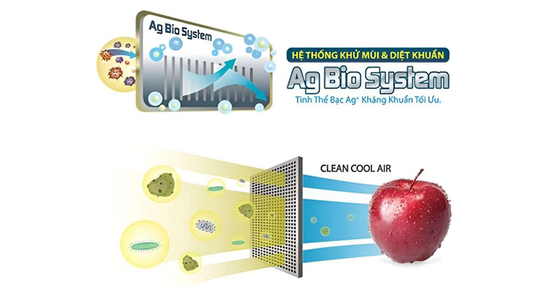 Tủ lạnh Toshiba GR-RT234WE-PMV(52) - Diệt khuẩn mạnh mẽ - loại bỏ mùi hôi khó chịu