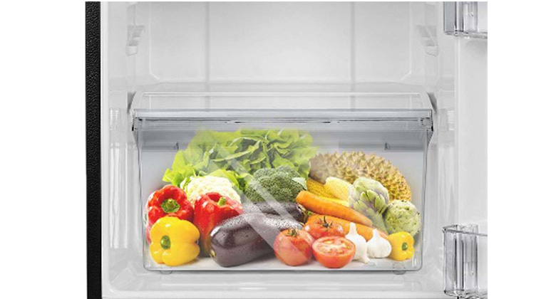Tủ lạnh Toshiba 2 cánh - Kệ cửa tối ưu, ngăn chứa rau lớn - Chứa được nhiều thực phẩm hơn
