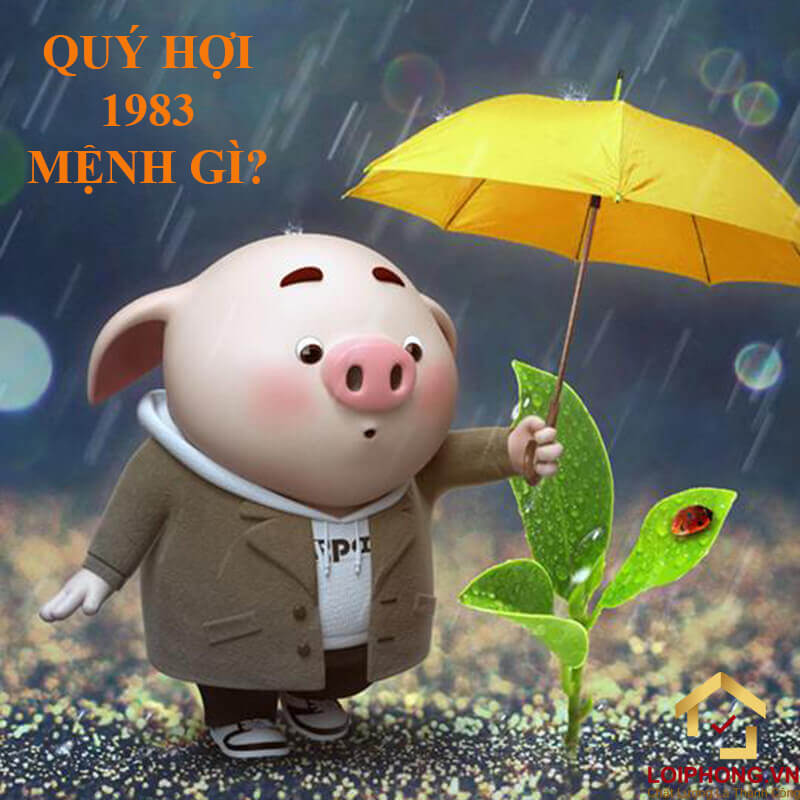 Sinh năm 1983 mệnh gì? Câu trả lời là mệnh Thuỷ