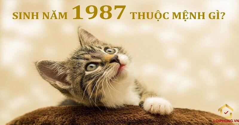 Khái quát người sinh năm 1987 mệnh gì?