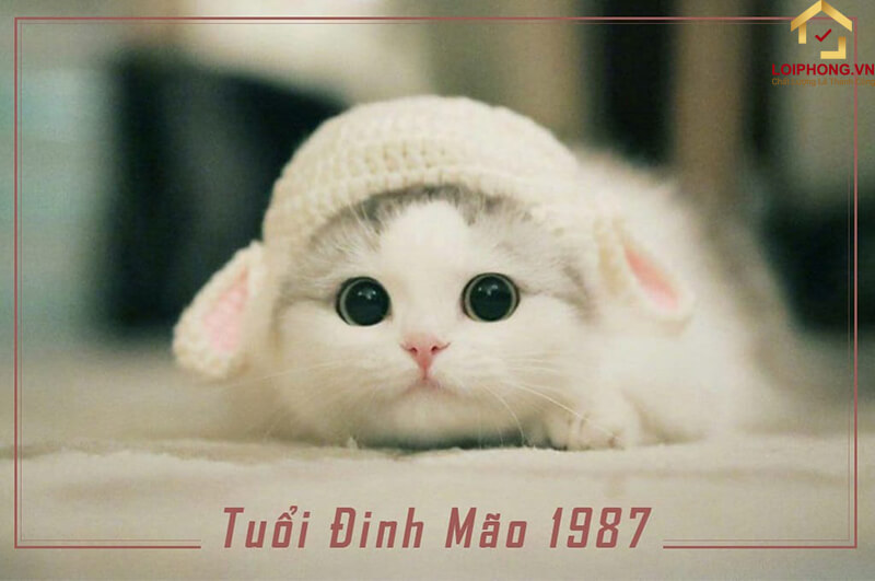 Công danh, sự nghiệp của nữ Đinh Mão