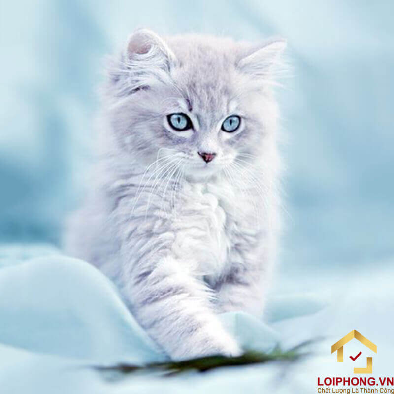 Sinh năm 1987 tuổi con gì?