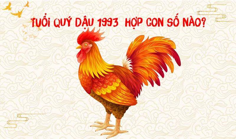 Con số may mắn tuổi Quý Dậu 1993