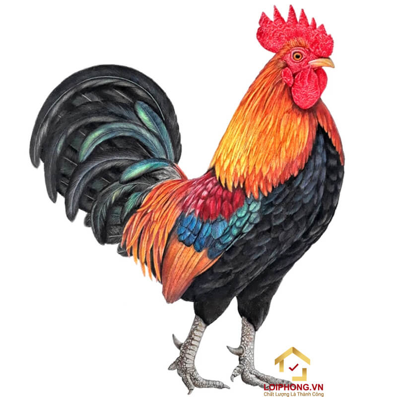 Hôn nhân Quý Dậu 1993 thường không được như ý muốn