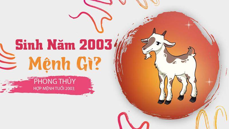 2003 mệnh gì? Chi tiết về tuổi Qúy Mùi 2003