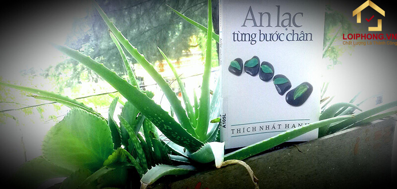 Cuốn sách muốn hướng dẫn con người thực hành thiền chánh niệm trong cuộc sống