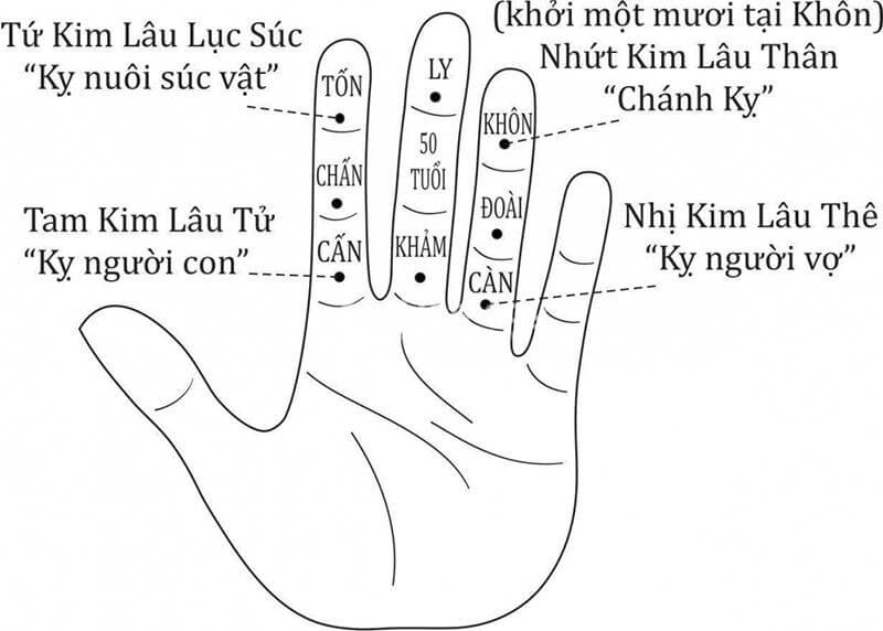 Hướng dẫn cách tính hạn Kim Lâu