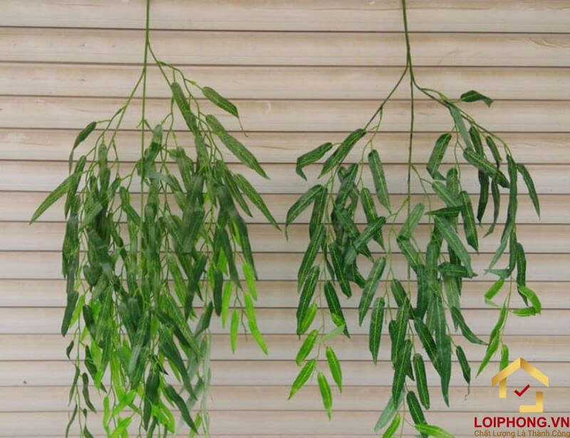 Hoá giải bùa yêu bằng cành liễu cũng khá hiệu quả