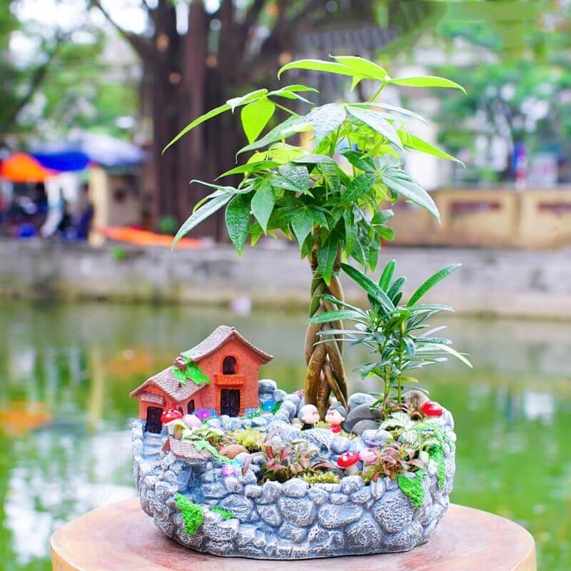 Cây kim ngân hợp với tất cả các mệnh trong Ngũ hành