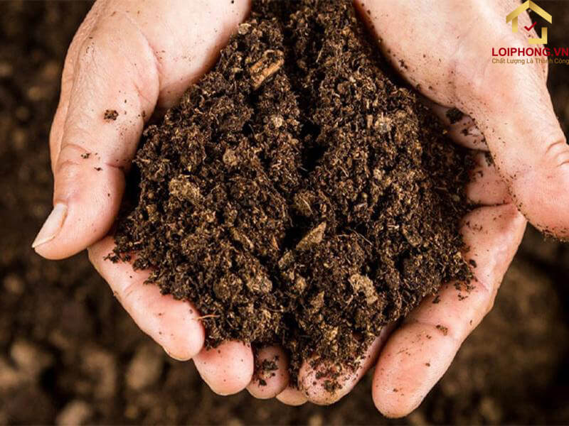 Lựa chọn loại đất có độ tơi xốp cao