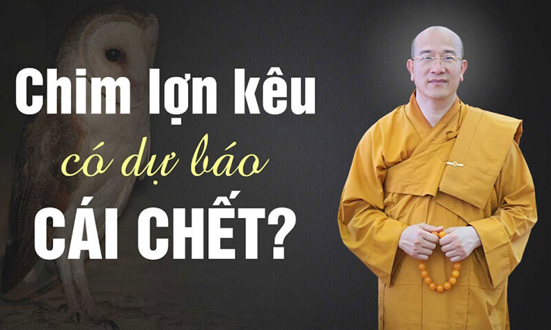 Chim lợn dự báo điều gì theo dân gian