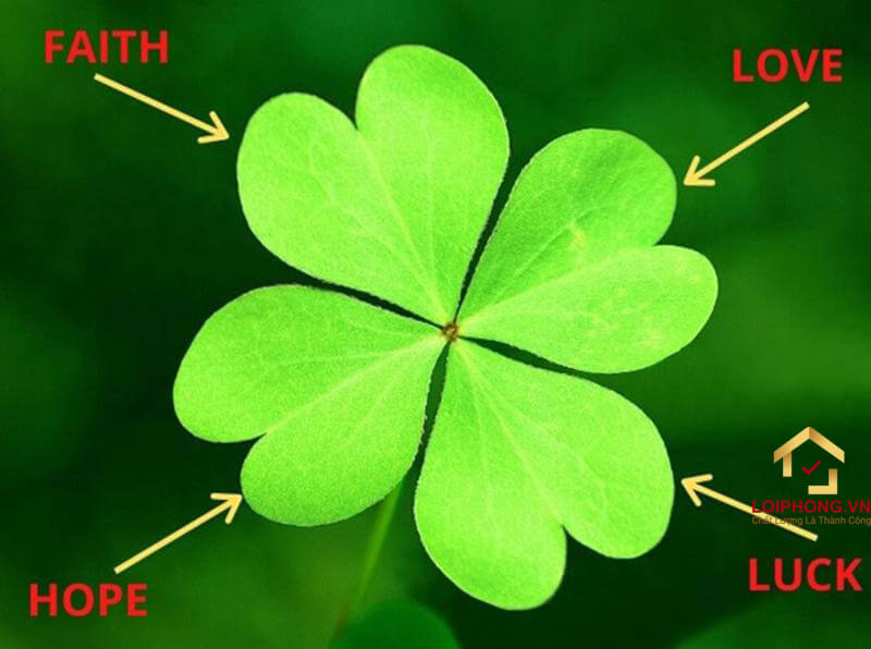 Ý nghĩa cỏ 4 lá trong cuộc sống