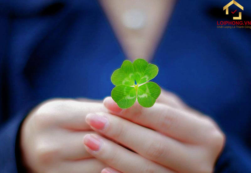 Niềm tin cỏ 4 lá thời trung cổ