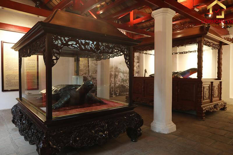 Có 2 tiêu bản cụ rùa trong đền Ngọc Sơn