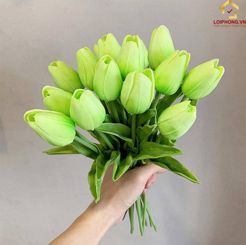 Tulip xanh lá cây thể hiện cho sự bình yên