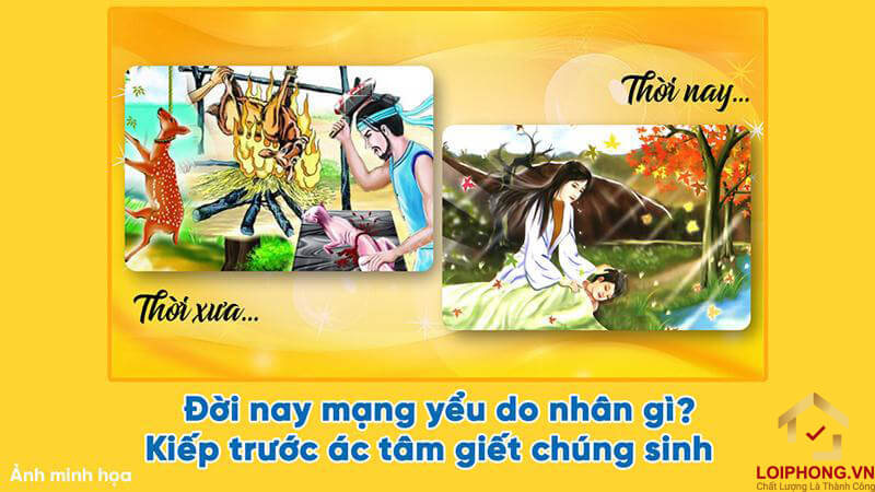 Nhân ở quá khứ tạo quả ở hiện tại