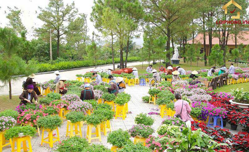 Làm công quả tại chùa