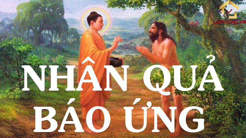 Tìm hiểu quá trình hình thành từ nhân đến quả.