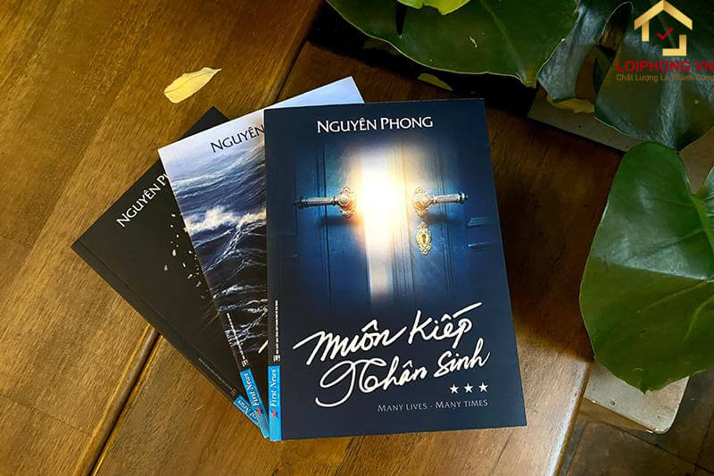 Muôn kiếp nhân sinh ra mắt lần đầu tiên vào năm 2017