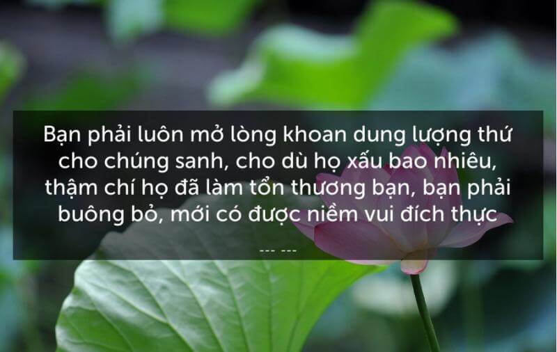 Sống bao dung, độ lượng