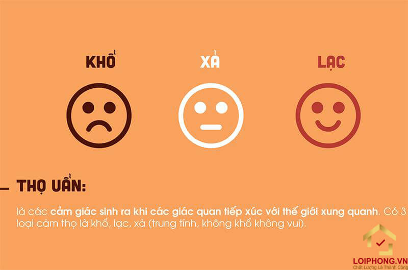 Thọ uẩn là cảm giác sinh ra khi các giác quan tiếp xúc với thế giới xung quanh