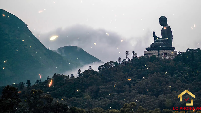 Nhạc thiền giúp thúc đẩy sức khỏe cảm xúc