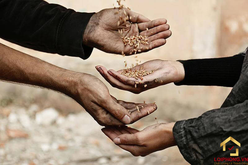 Nhân quả báo ứng trong cuộc sống hàng ngày