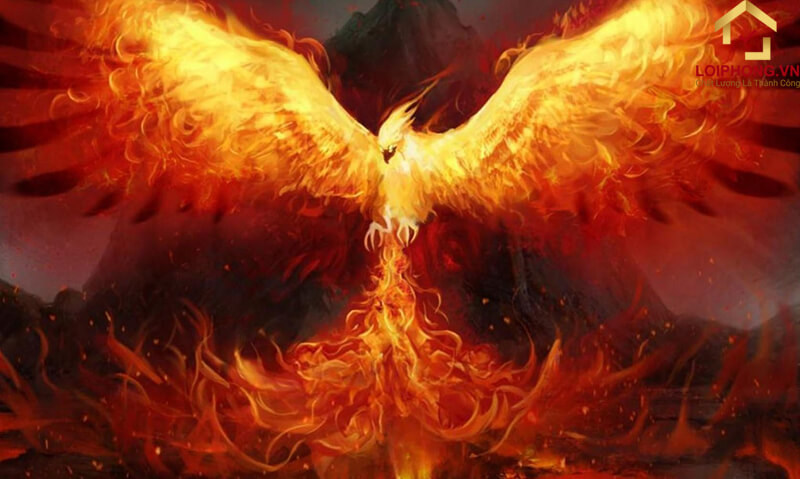 Loài chim này có nguồn gốc bắt nguồn từ Trung Quốc khoảng 7000 năm trước