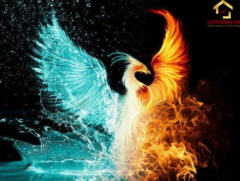 Loài chim này mang biểu tượng cho sự kết hợp âm dương hài hoà