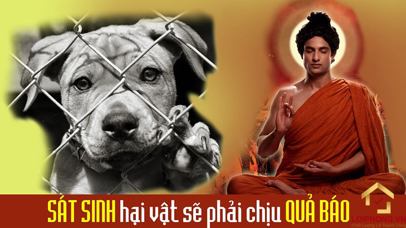 Người hành nghề sát sinh sẽ phải chịu sự chi phối của nghiệp xấu