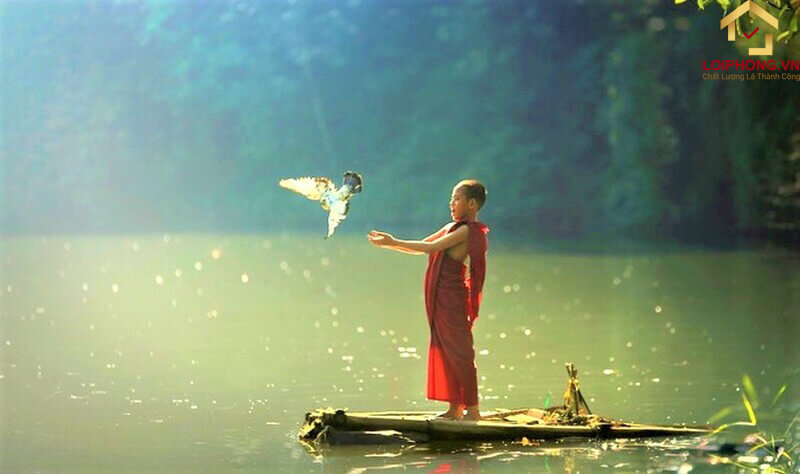 Con người nên làm nhiều việc thiện, tăng phước báu bằng việc phóng sinh, cúng dường tam bảo