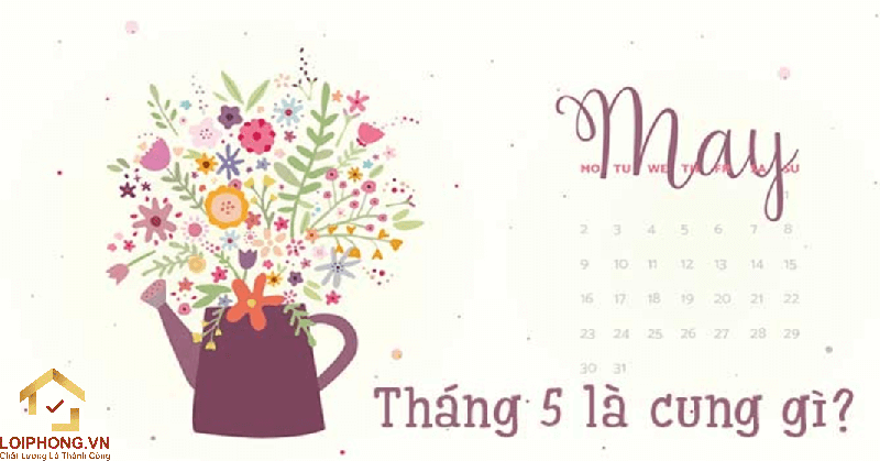 Tháng 5 cung gì? Những người này thuộc cung Kim Ngưu và Bảo Bình