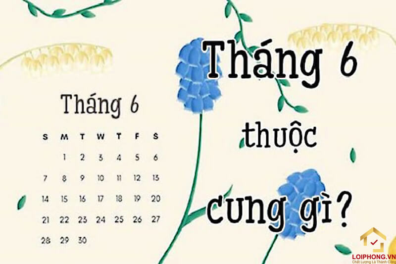 Tháng 6 cung gì với câu trả lời là cung Song Tử và Cự Giải