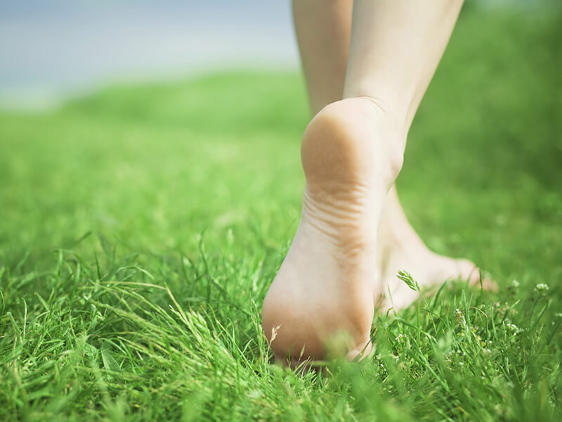 Hỗ trợ chữa bệnh