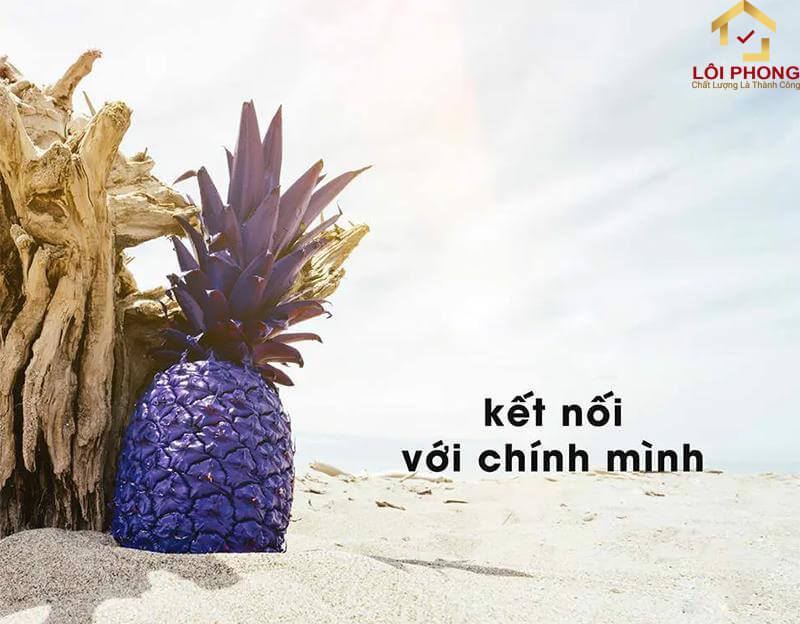 Kết nối với chính mình
