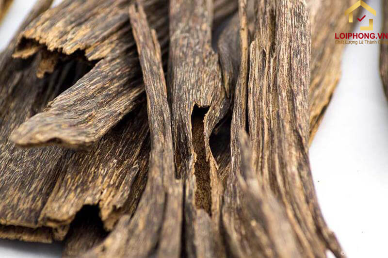 Trầm hương vô cùng quý hiếm, giá trị kinh tế cao