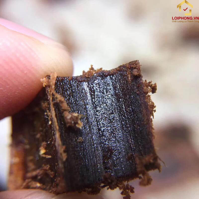 Trầm Hắc Kỳ Nam